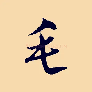 毛