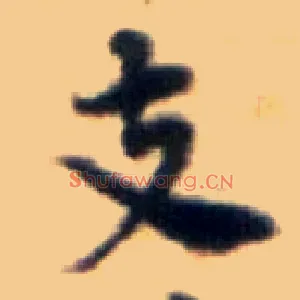 支