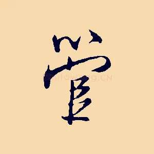 管
