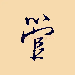 管