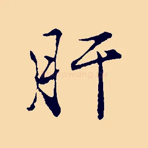 肝