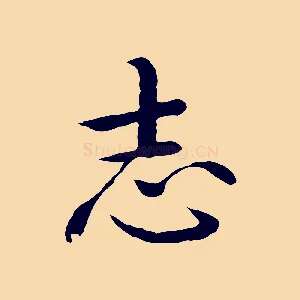 志