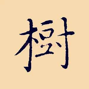 樹