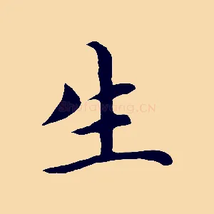 生