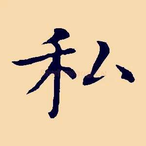 私