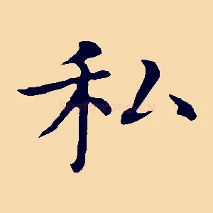 私