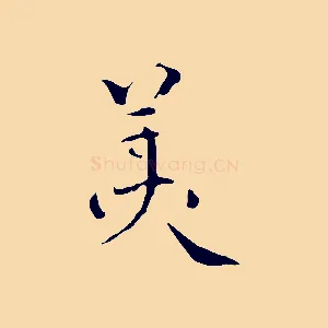 美