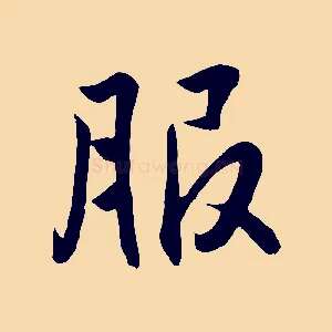 服