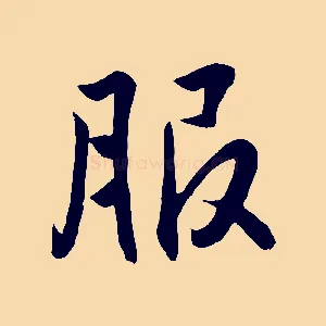 服