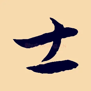 士