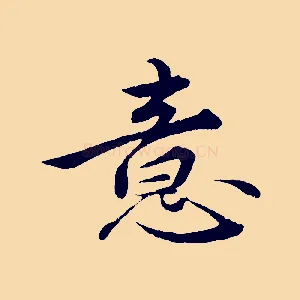 意