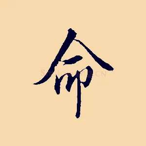 命