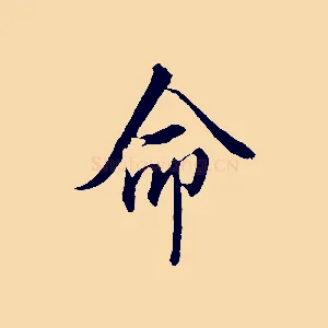 命
