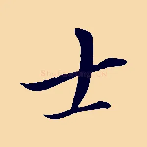 士
