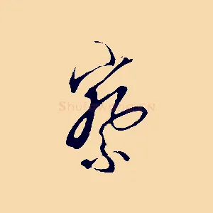 察