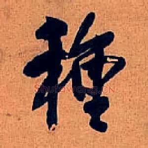 种
