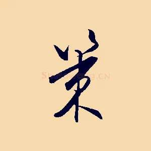 策
