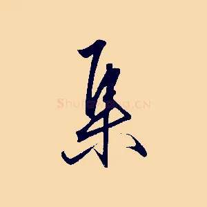 集