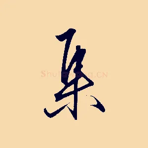集