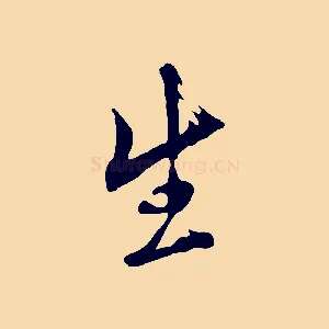 生