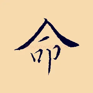 命