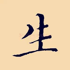 生