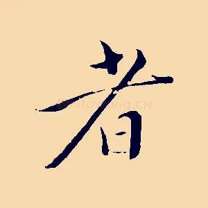 者