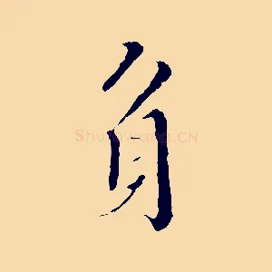身