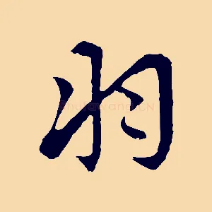羽