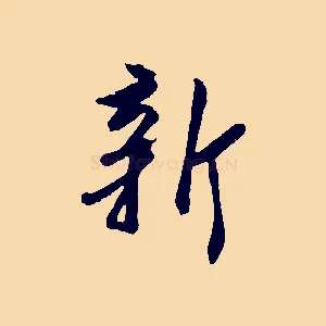 新
