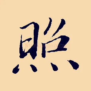 照