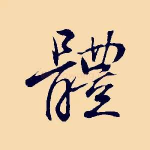 體