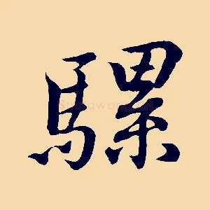 騾