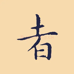 者