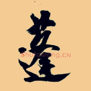 蓬