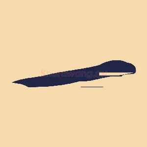 一