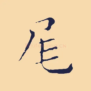 尾