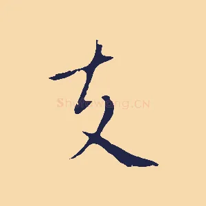 支