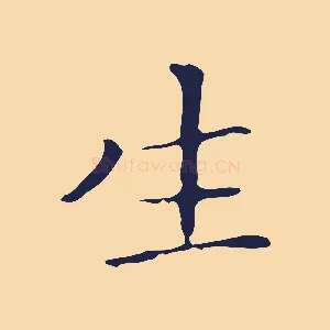 生