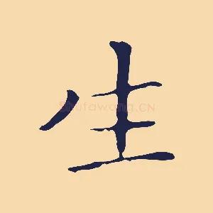 生