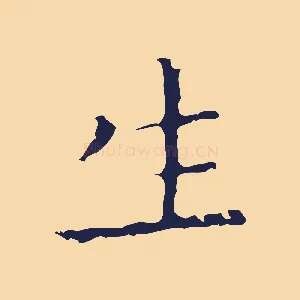 生