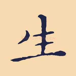 生
