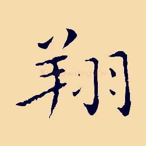 翔