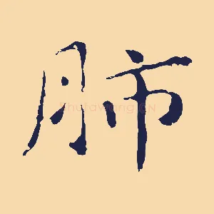 肺