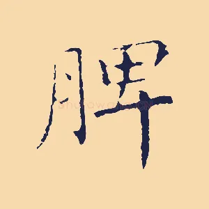 脾