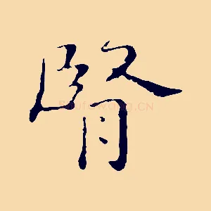 腎