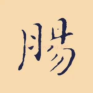 腸