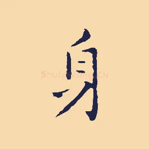 身