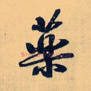 药