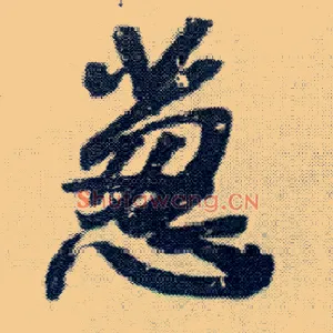 葱